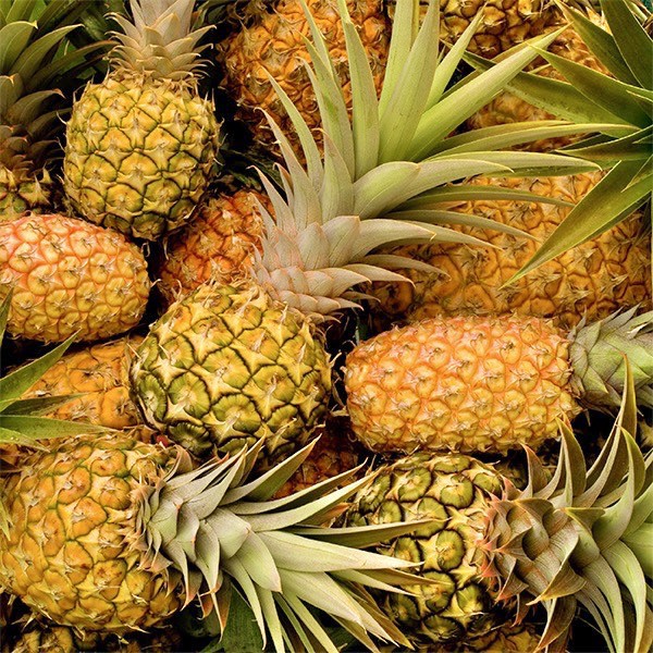 PINEAPPLE