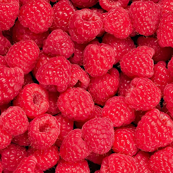 RASPBERRY