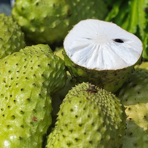 SOURSOP