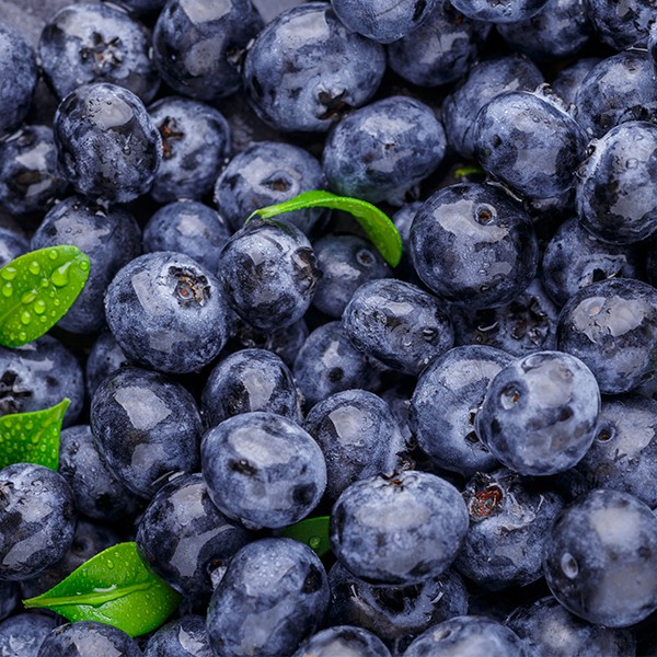 BLUEBERRY