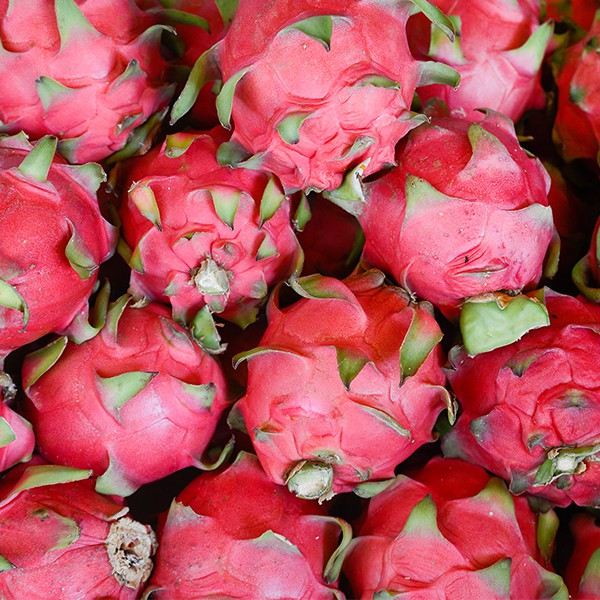 DRAGON FRUIT (WHITE)